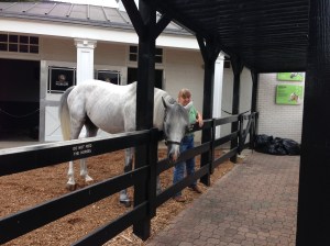 This horse ran the Kentucky Derby several years ago